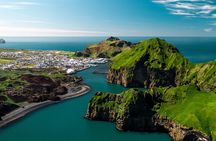 Puffin and Volcano Tour with Ebbi
