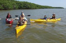 Small-Group Everglades Boating Kayaking and Walking Eco Tour