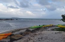 Bioluminescent Bay Night Kayak Experience!