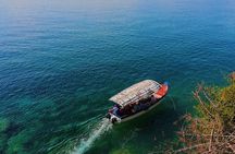 Ohrid city and lake tour - from Skopje