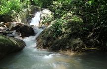 Hiking Adventure: River Trails & Waterfall Wonders