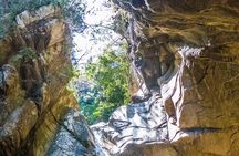 Hiking Adventure: River Trails & Waterfall Wonders