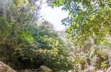Hiking Adventure: River Trails & Waterfall Wonders
