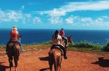 Maui Horseback Adventure at Circle M Ranch With Real Cowboys