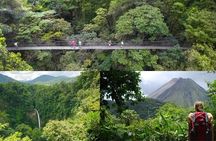 Hiking Lovers (Hanging Bridges + La Fortuna Waterfall + Volcano Hike)