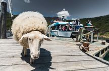 Full Day Iconic Mail Boat Cruise