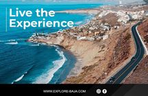 PRIVATE BAJA WINERIES EXPERIENCE (Transportation,concierge,custom schedule)