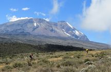 Mt Kilimanjaro Climb - 8 days Lemosho
