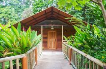 Discover Tortuguero: 1 Night 2 Days All Inclusive Package