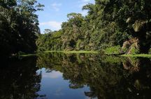 Discover Tortuguero: 1 Night 2 Days All Inclusive Package