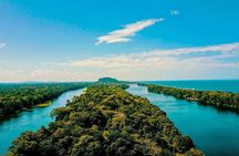 Discover Tortuguero: 1 Night 2 Days All Inclusive Package
