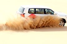 Liwa Over Night Safari