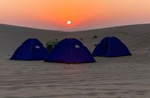 Liwa Over Night Safari