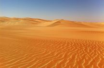 Liwa Over Night Safari
