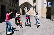 VIP 2-Hour Bordeaux Segway Tour