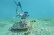 Full-Day Snorkeling Tour to Culebra Island with Lunch