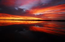 Private Everglades National Park Photography, Birding and Wildlife Safari