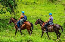 Horseback Riding at Volcano foothills + La Fortuna Waterfall