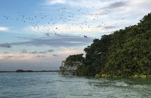 Sian Ka'an Sunset Boat Tour
