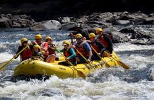 Family Rafting with kids | Rouge River (From age 6)
