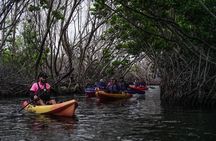 Puerto Rico Sunset Magic: Bio Bay Kayaking Tour from Fajardo