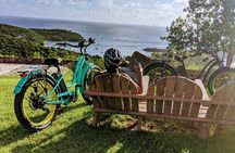 Historic City, Fort and Beach E-Bike Tour