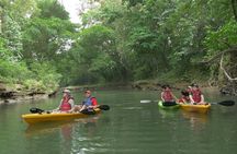Wildlife Safari Float by Kayak in Peñas Blancas River from Arenal