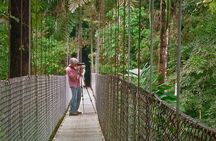 Arenal Hanging Bridges, Guided Walk, Hot Springs Optional