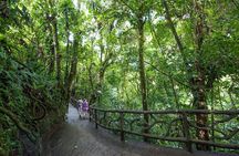 Arenal Hanging Bridges, Guided Walk, Hot Springs Optional