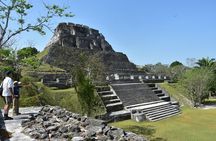 7:30am Jungle Farm trail Ride plus Xunantunich adventure