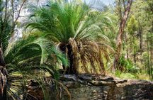 Roma: Lost World Carnarvons (Wallaroo) Day Tour