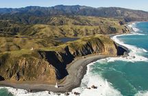 Wellington South Coast Discovery Helicopter Flight