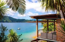 Bay of Many Coves Helicopter Tour with 3-Course Lunch from Wellington