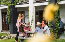 Full-Day Marlborough Wine Tour from Blenheim