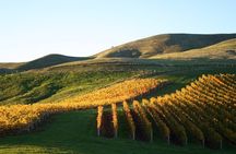 Full-Day Marlborough Wine Tour from Blenheim