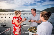 Marlborough Icons Tour - Wine tasting + Cruise