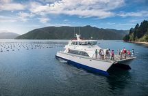 Marlborough Icons Tour - Wine tasting + Cruise
