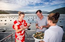 Marlborough Sounds Greenshell Mussel Tasting Cruise