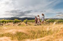 Marlborough Afternoon Wine Tour with Tastings