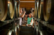 Marlborough Afternoon Wine Tour with Tastings