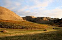 Marlborough Afternoon Wine Tour with Tastings