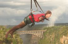 Flying Fox (Zimbabwe)