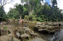 El Yunque National Forest and Luquillo Beach Tour