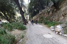 Half-Day Mountain Bike Experience to Serra de Tramuntana,