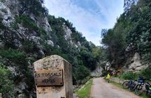 Half-Day Mountain Bike Experience to Serra de Tramuntana,