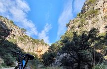 Half-Day Mountain Bike Experience to Serra de Tramuntana,