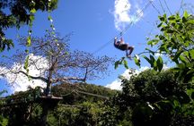Antigua Zipline Canopy Adventure from St John’s
