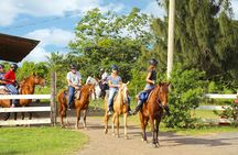 Horseback Riding Tour at Private Ranch