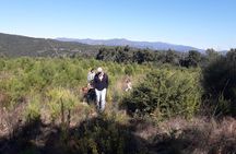Half Day Gastronomic Wild Walk in Girona