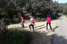 Half Day Gastronomic Wild Walk in Girona